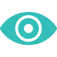 vision